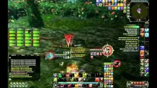 Infiltrator Johlen | Elite Garde | Felsspitze PvP