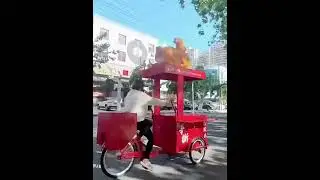 🔥 Elevate Your Street Food Business with Premium Street Mobile Food Cart!