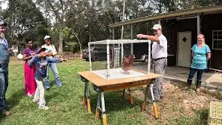 Chicken Poop Bingo Farm Tour 2025
