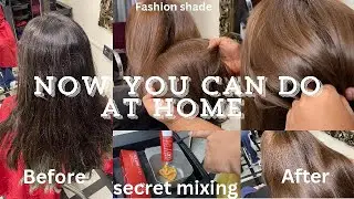 how to apply fashion hair color at home/one color hair dye/fashion color without bleach/2024