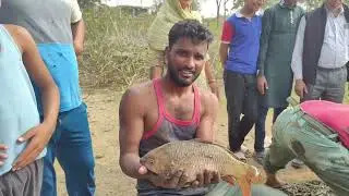 Catch fish in your local village pond.😱