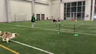 Wallace Cactus Elite Regular - Rd 4