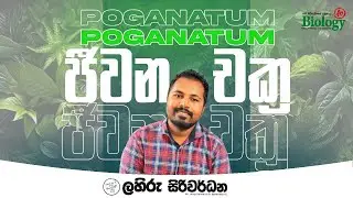Life cycle  of Pogonatum sp. | Lahiru Siriwardana Biology