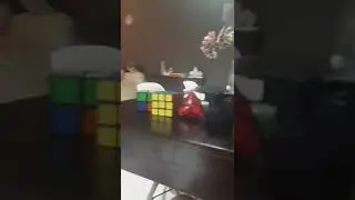 mi coleccion de cubos de rubik padre no #cuboderubik #cubero #siganme #mateosolpromateosolpro