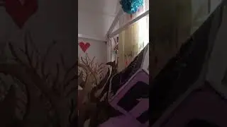 Is your baby crying ? I can make stop!