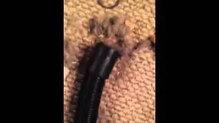 Vacuum not working fix it!  how to unclog your vacuum hose.