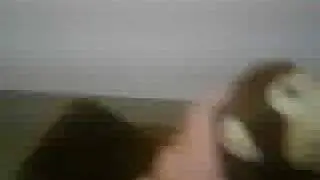PLUS0001