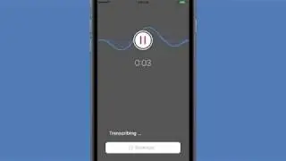 Steno: live transcription and recording