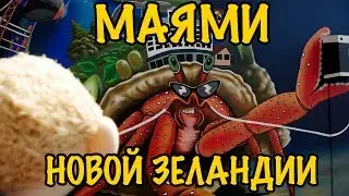 Майами Новой Зеландии - Тауранга