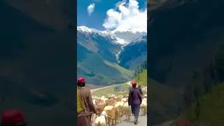 Babusar Top Road Naran Kaghan Valley Mansehra #travel #babusartop2023 #babusartop #naran #beautiful