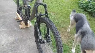 Rockshox 35 Gold RL 2020 warranty repair