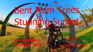 Stunning Sunset Among the Palms. Santa Barbara Oceanside eBike Path & State St - 4K Stable