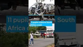 At least 11 schoolchildren died in a traffic accident