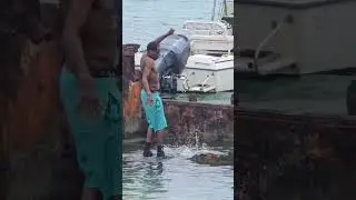 Barracuda  🦈🎣  Bermuda  Kids Fishing Catch BARRACUDA🥇🎯 and the Dad comes to help🥉🎭🇧🇲🎏 #barracuda 