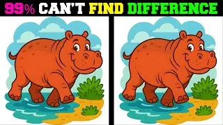 Easy or Hard? Find 3 Differences in This Picture!