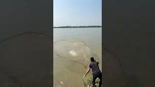 Amazing river fishing #viralfishing #fishingvideo #fishinglife #funny #castnetfishing