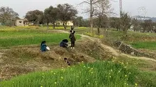 Rasani Charoi Azad Kashmir