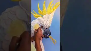 I spent 100 HOURS painting each feather on this cockatoo!
