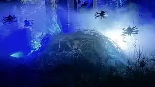 Harry Potter: A forbidden forest experience Vancouver