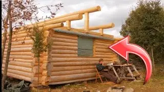 Building My Dream Log Cabin from Scratch - Self-Sufficient Living!