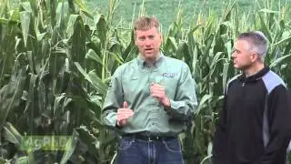 Early Input Buys #856 (Air Date 8/31/14)