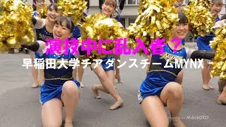 【チアダンス】早稲田大学チアダンスチームMYNX／フラッシュモ部さんが乱入！