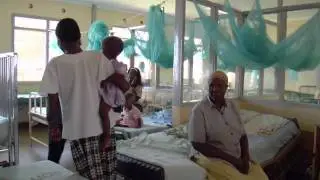 Decades in the making, a malaria vaccine is near