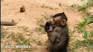 Daniela and Polino monkey Lovely so sweet.