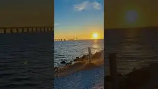 #europe #malmo #naturelovers #balticsea #youtubeshort