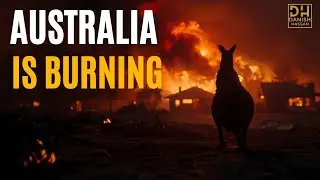 Australia Is Burning 🇦🇺 | Bushfires Destroy Homes, Wildlife & Lives
