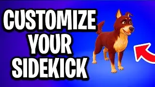 How to Customize Your Sidekick in Fortnite - Full Guide
