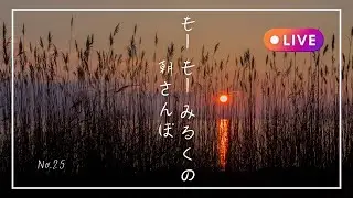 朝さんぽ　No.25