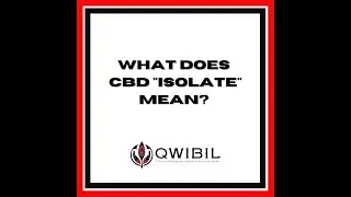 What does CBD 