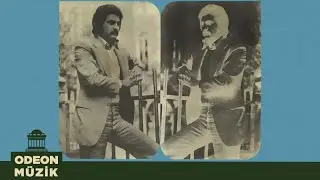 Bora Ayanoğlu - Güller ve Dudaklar (Official Audio)