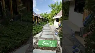 Heaven on Earth 🤩 Amora Panchkarma and wellness Centre Pune #travel #yoga #youtubeshorts