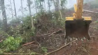 Destoca...e chuva...