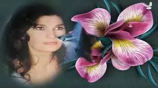 Silvana - Svi dilberi samo moga nema