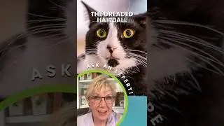 Live Cat Grass for Hairballs? 🐱 Cat Expert Explains!