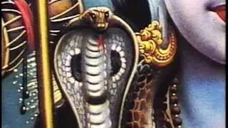 Dragon Serpent Exposed