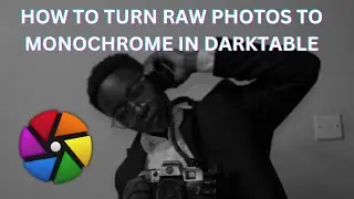 HOW TO TURN RAW FILES TO MONOCHROME IN DARKTABLE