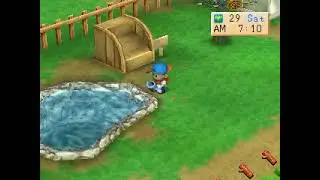 Harvest Moon back to nature Part 202 - End of 5th Summer & Start 5th Fall(Autumn)