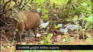 Plastic Waste increasing in sabarimala forest traditional path | Sabarimala News 2015