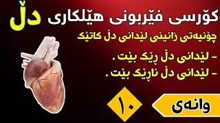 کۆرسی فێربونی هێلکاری دڵ وانەی (( ١٠ ))