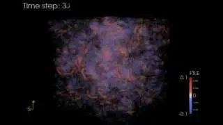 FTLE of Dark Matter Density Field