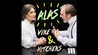 Alas Vine & Hitchens - Useless Architects and Awful Airport Security