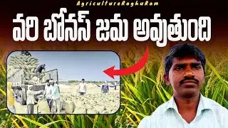వరి బోనస్ డబ్బులు జమ | Paddy bonus credit farmers accounts | Agriculture Raghu Ram