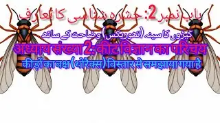 Chapter 2 Introduction to Entomology|Insect Thorax Explained | Structure, Segments Urdu/Hindi