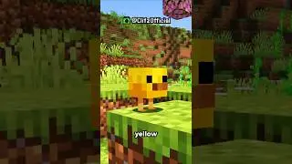 Minecraft 26.1 Update: NEW Baby Mob Models Added!