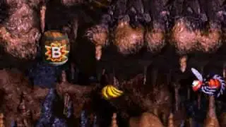 DKC3 105% Run pt 38 - Level 7-2: Creepy Caverns