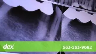 Lifetime Dentistry